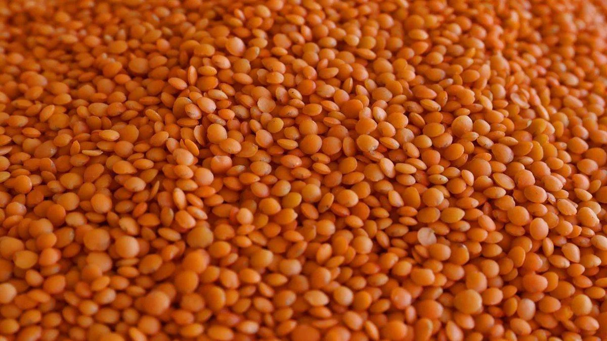 Kırmızı mercimek alım fiyatı 15 bin liraya yükseltildi