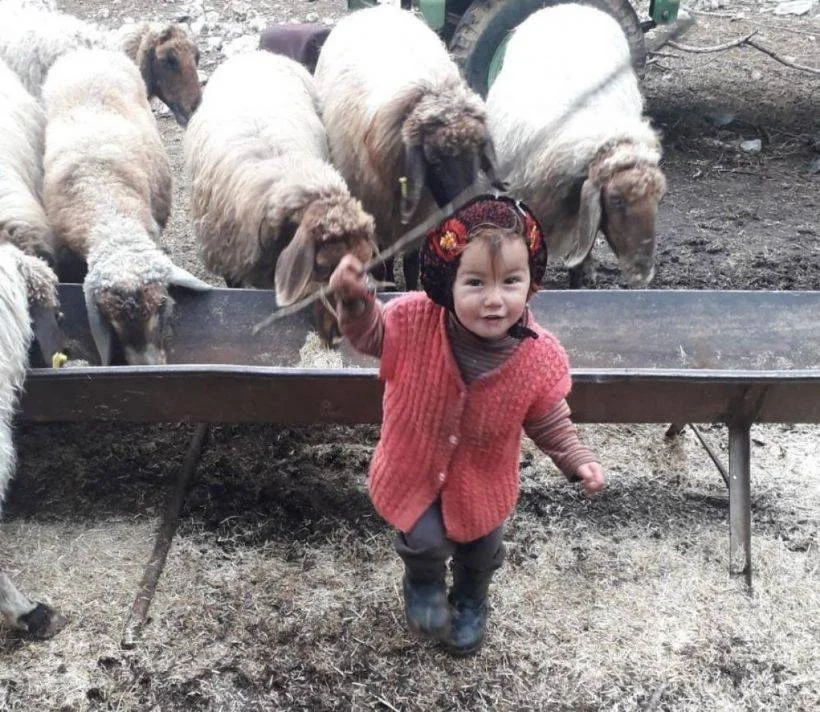 Küçük Müslime'nin ölümüyle ilgili 4 sanık hakim karşısında