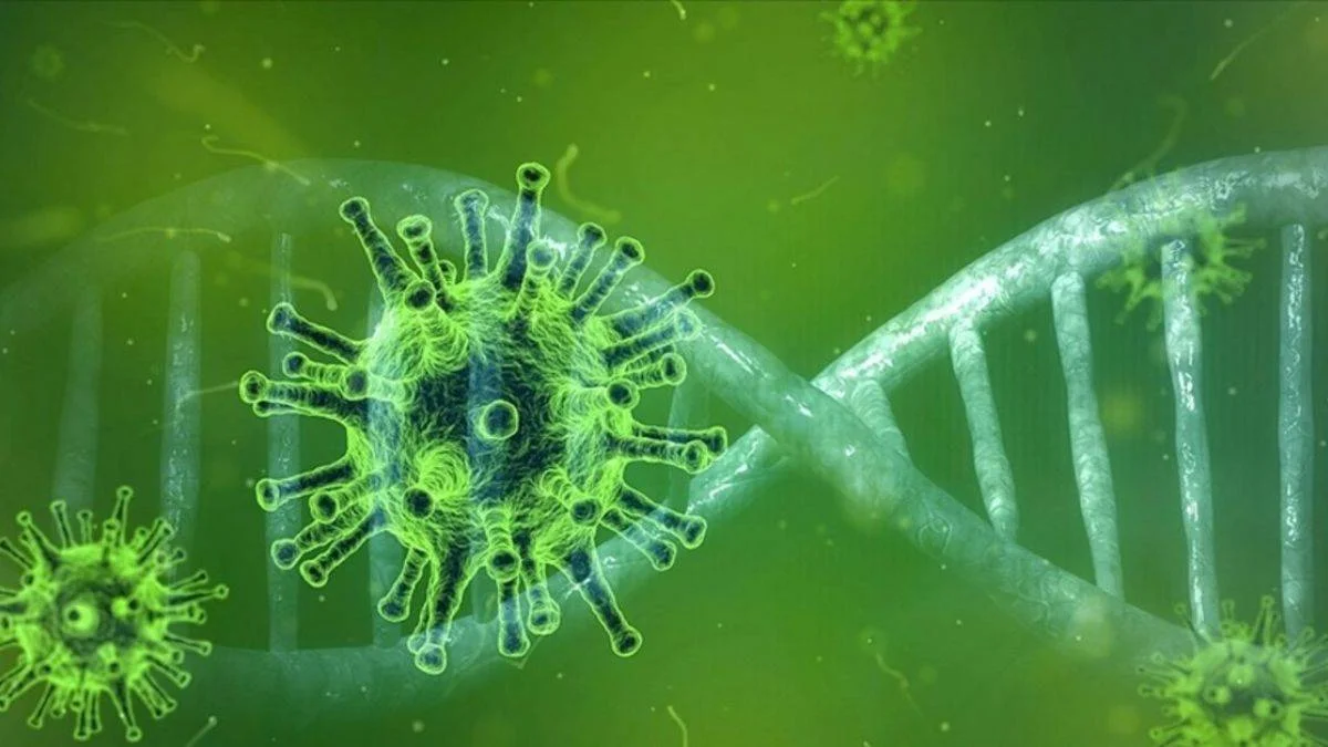 Langya (LayV) virüsü nedir? Belirtileri nelerdir? Virüs nasıl bulaşır?