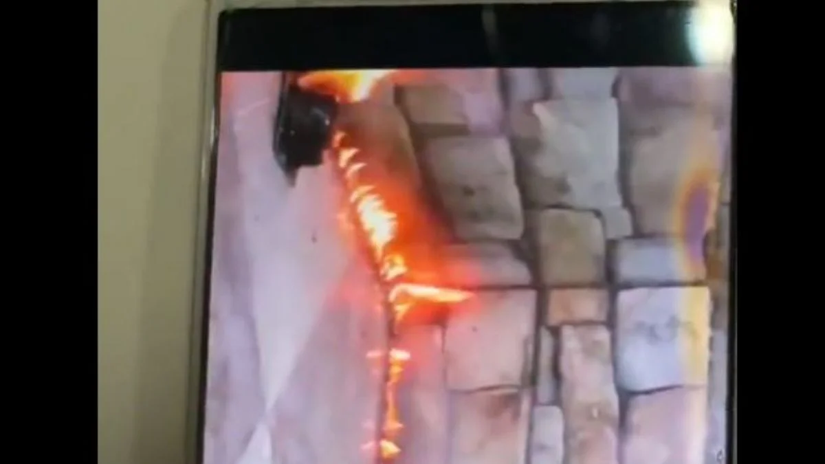 PKK'lının cep telefonundan 'orman kundaklama' videosu çıktı