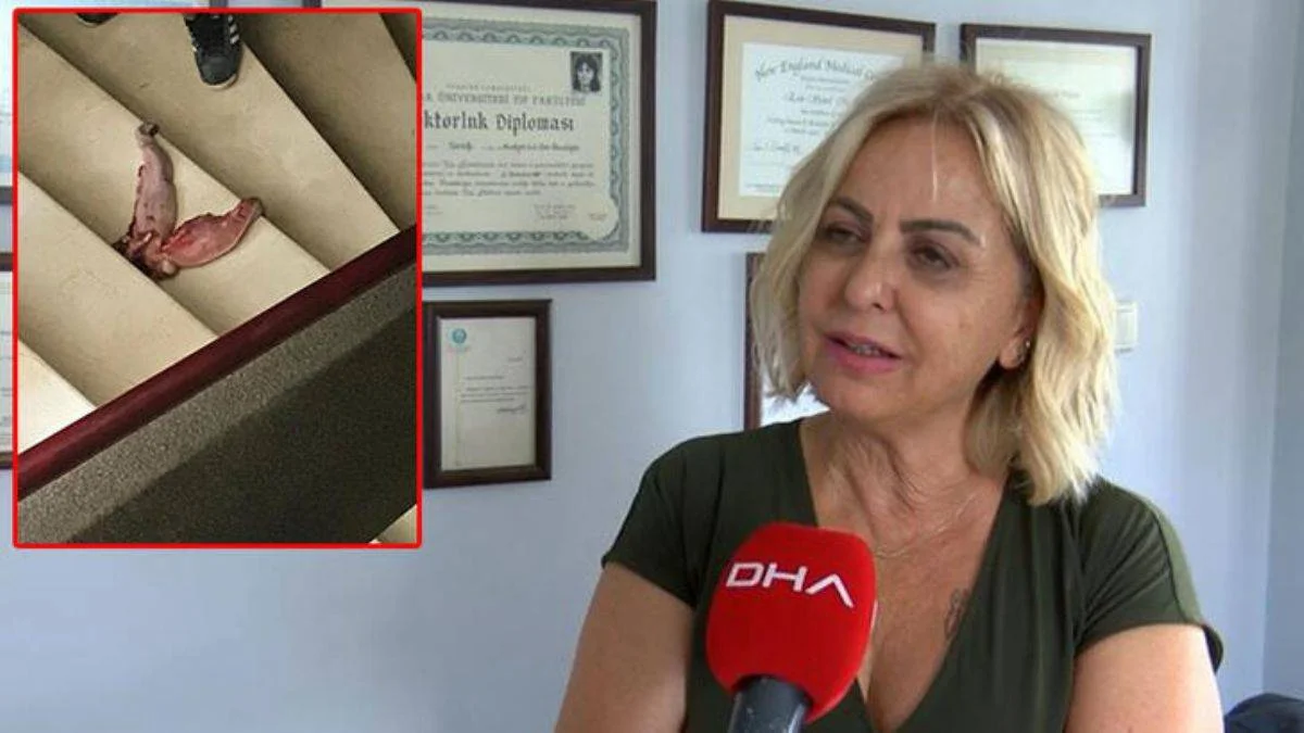 Prof. Dr. Esin Davutoğlu Şenol kimdir? Esin Davutoğlu Şenol neden tehdit aldı?