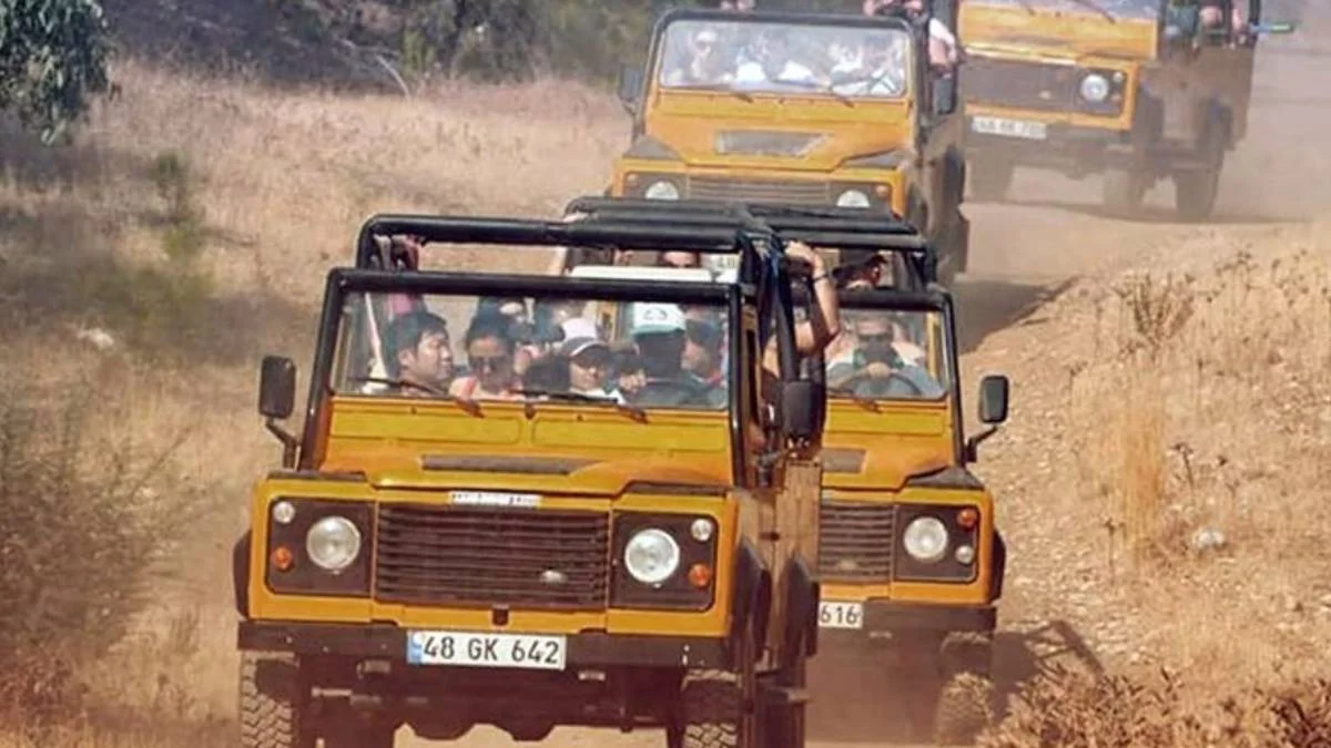 Safari nedir? Safari aracı nedir? Türkiye'de safari yapılır mı?