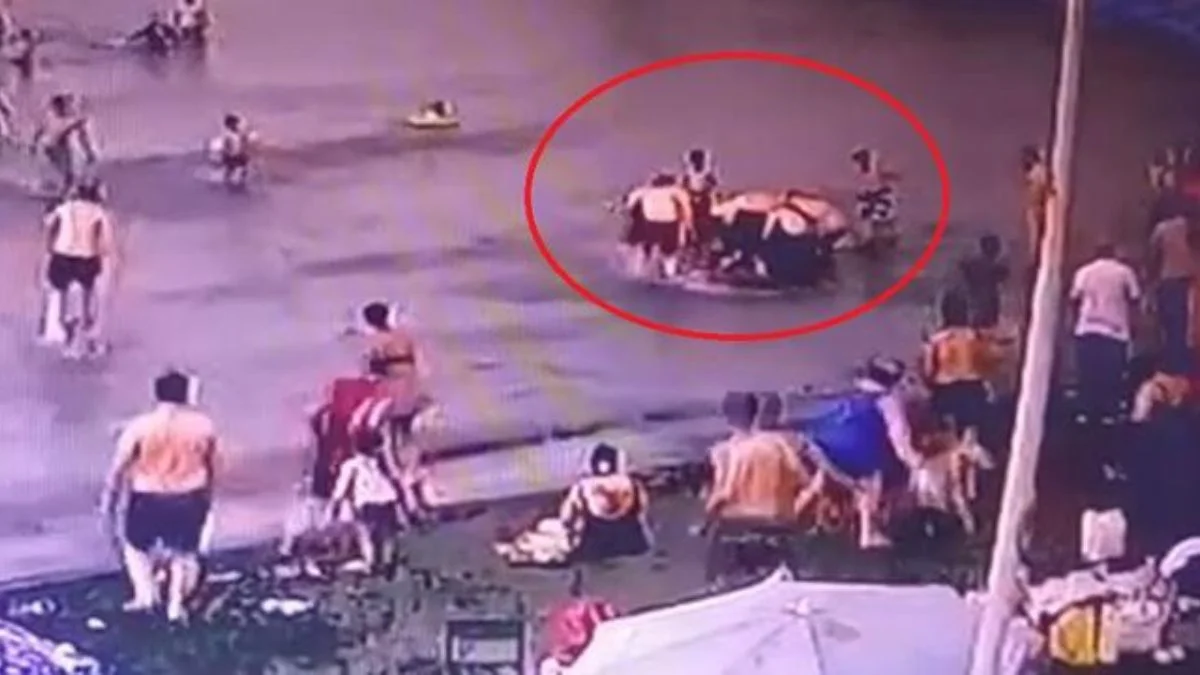 Tasmadan kurtulan köpek denizde yüzen çocuğu bacağından ısırdı