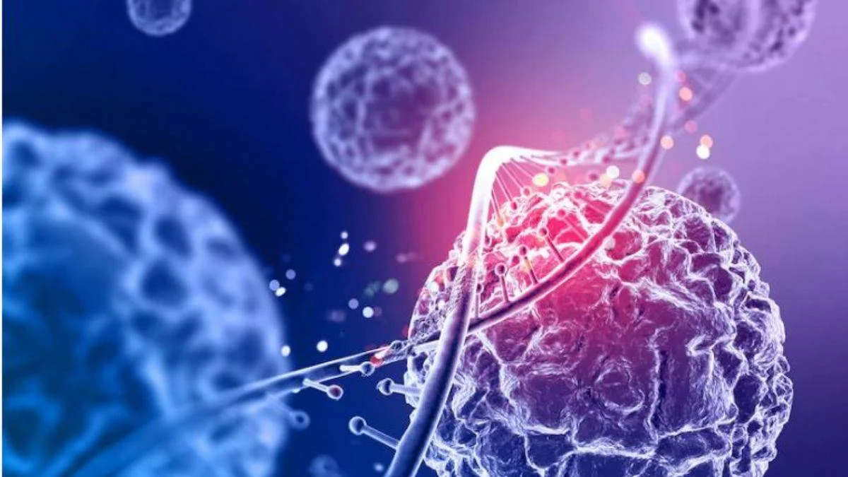 Zika virüsü nedir ve nasıl bulaşır? Zika virüsünün belirtileri nelerdir? Zika hastalığının tedavisi var mı?