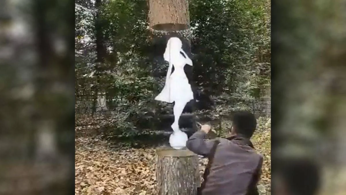 Ağaç üzerine yapılan 3D resim görenleri hayran bıraktı