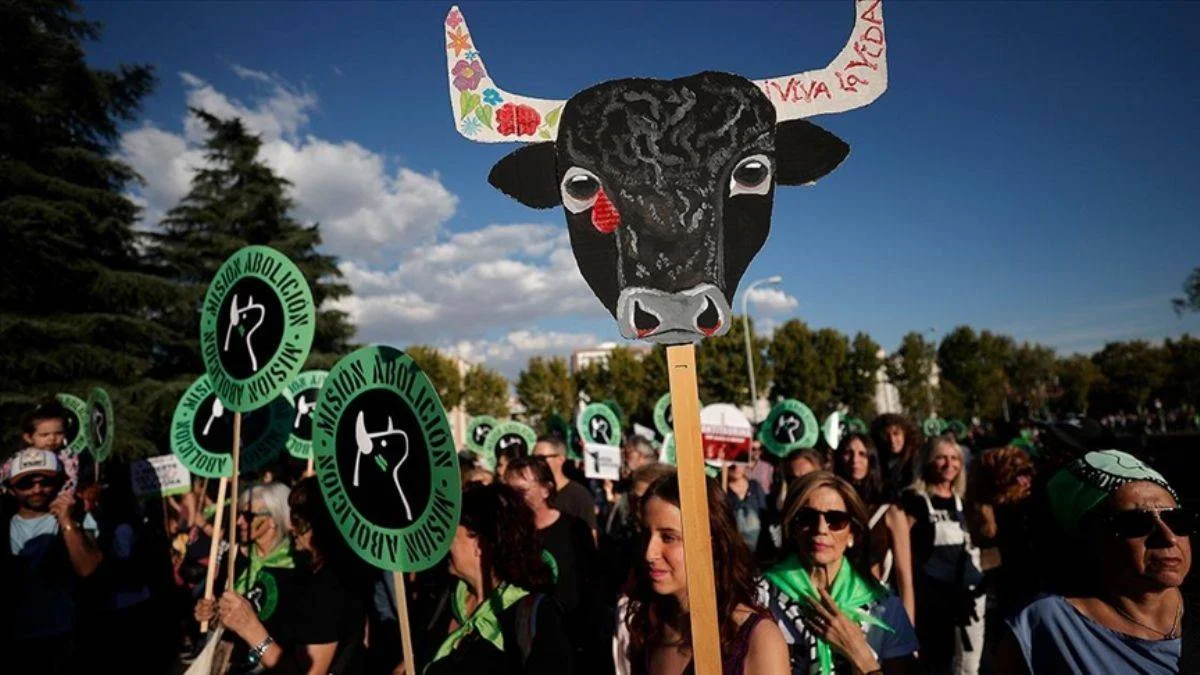 Binlerce kişi boğa güreşlerinin yasaklanması için Madrid'de yürüdü