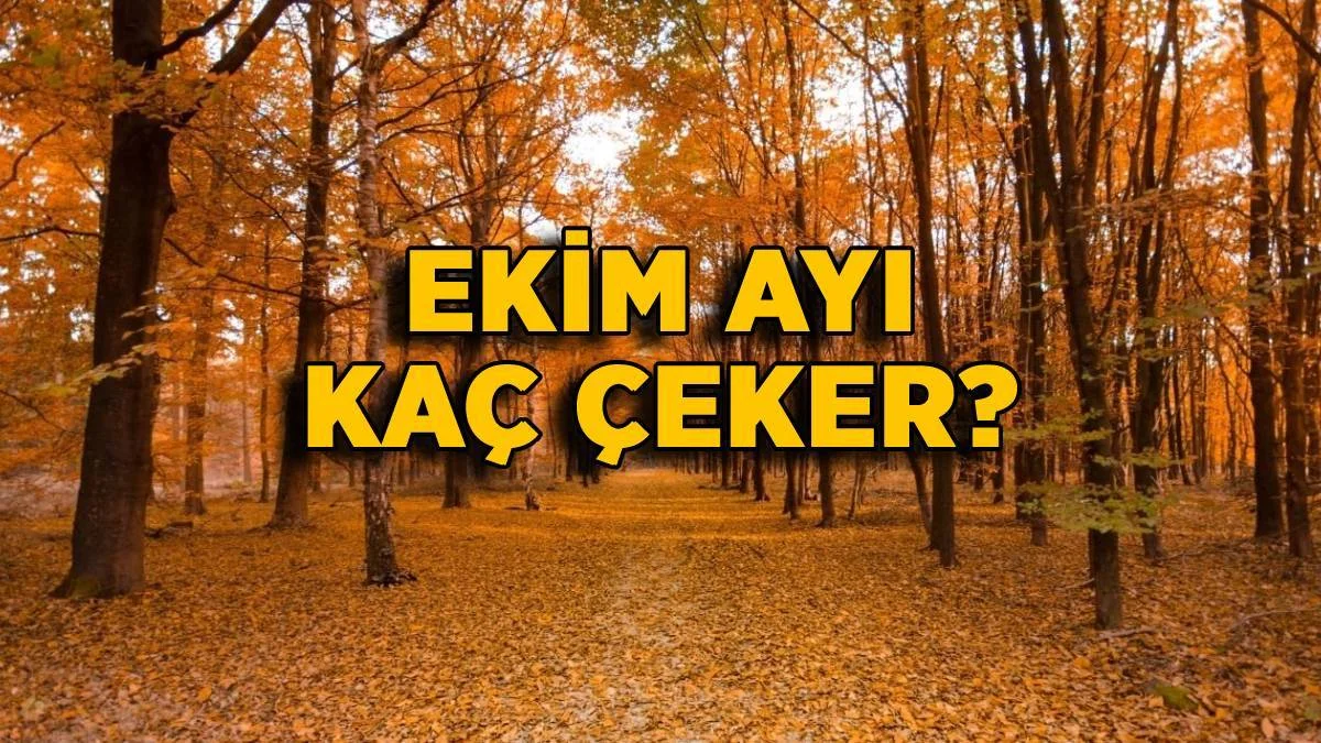Ekim ayı kaç çekiyor? 2022 Ekim 30 gün mü 31 gün mü? Ekim ayı 30 mu, 31 mi çekiyor? 2022 Ekim kaç gün?