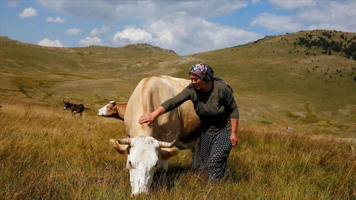 Köroğlu Dağları'nın zirvesinde yalnız ama mutlu