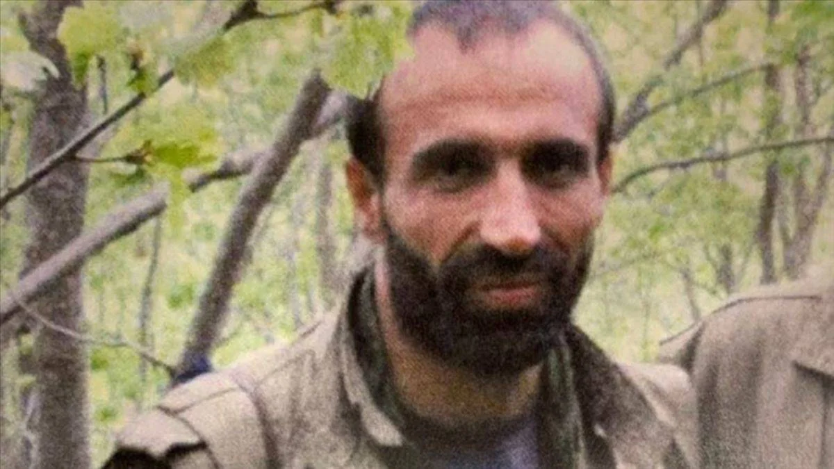MİT'ten çifte operasyon