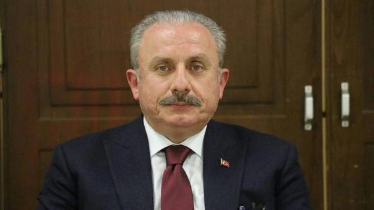 TBMM Başkanı Şentop'tan Menderes, Zorlu ve Polatkan için anma mesajı