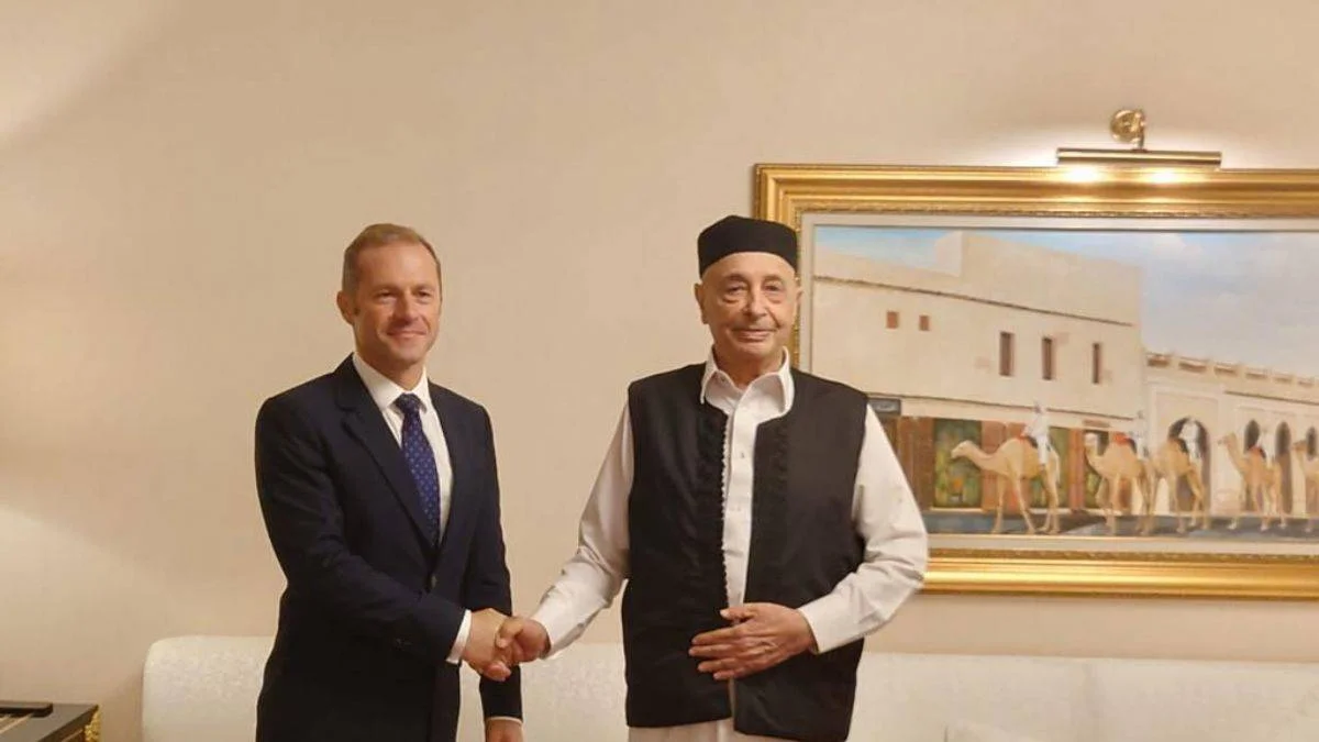 Türkiye etkinleşince Fransa soluğu Libya'da aldı!