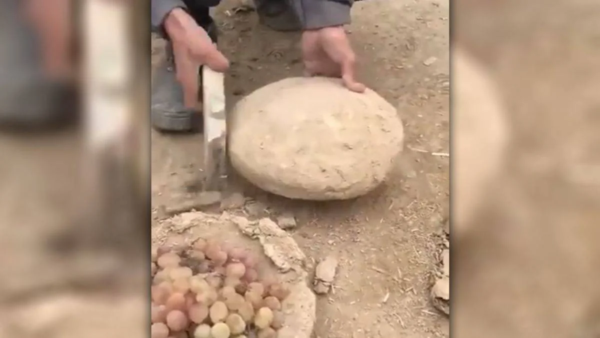 Afganistan'da kil çömlek içinde aylarca saklanabilen üzümler