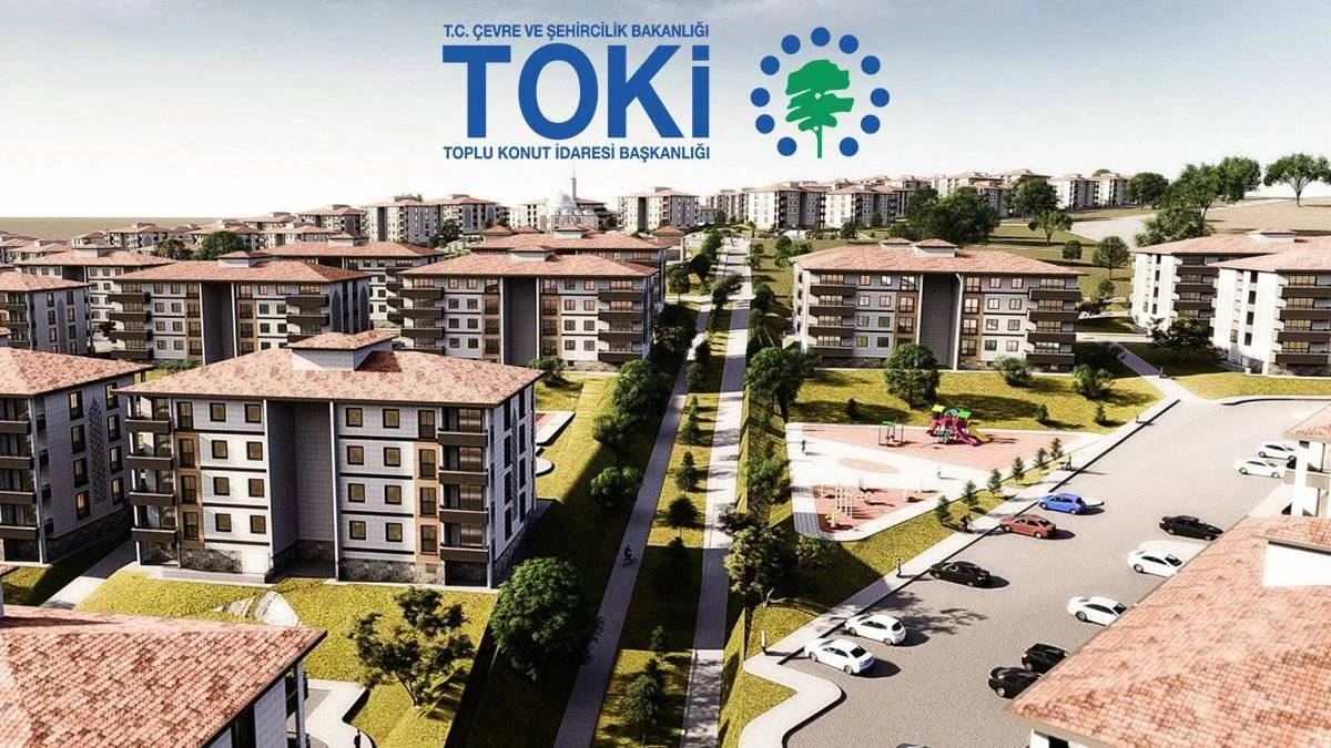 Arsa başvuruları başladı! Kimlik numarası ayrıntısı
