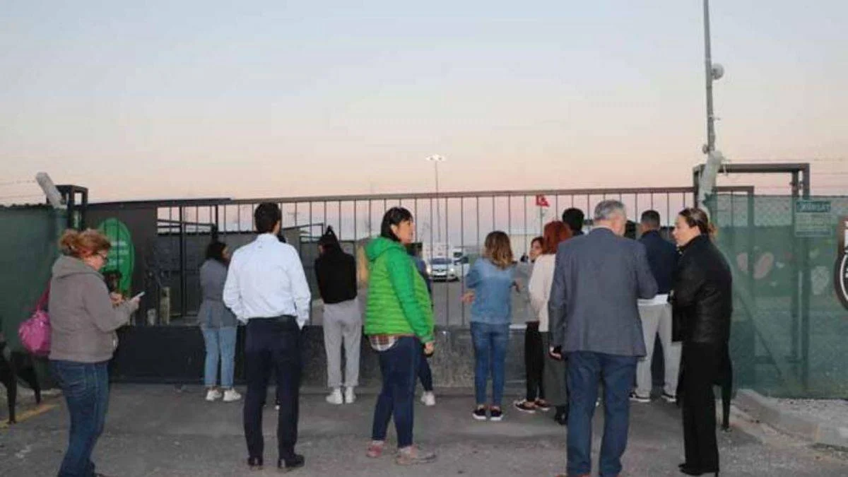 Belediye ekipleri köpek toplarken ortalık karıştı
