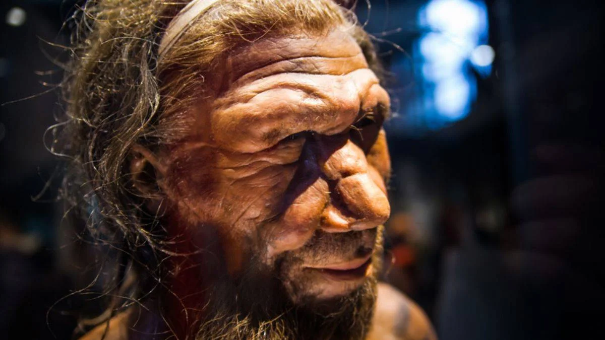 İlk Neandertal ailesinin kalıntıları bulundu!