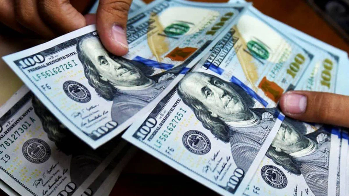IMF: Dolar karşısında en çok değer kaybeden para birimi TL