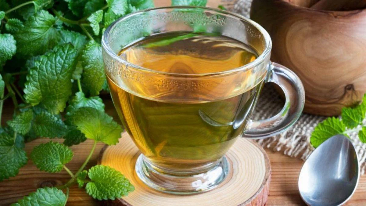 Melisa çayının faydaları I Melisa çayı nasıl yapılır, neye iyi gelir? Melisa çayı aç mı tok karnına mı içilir?