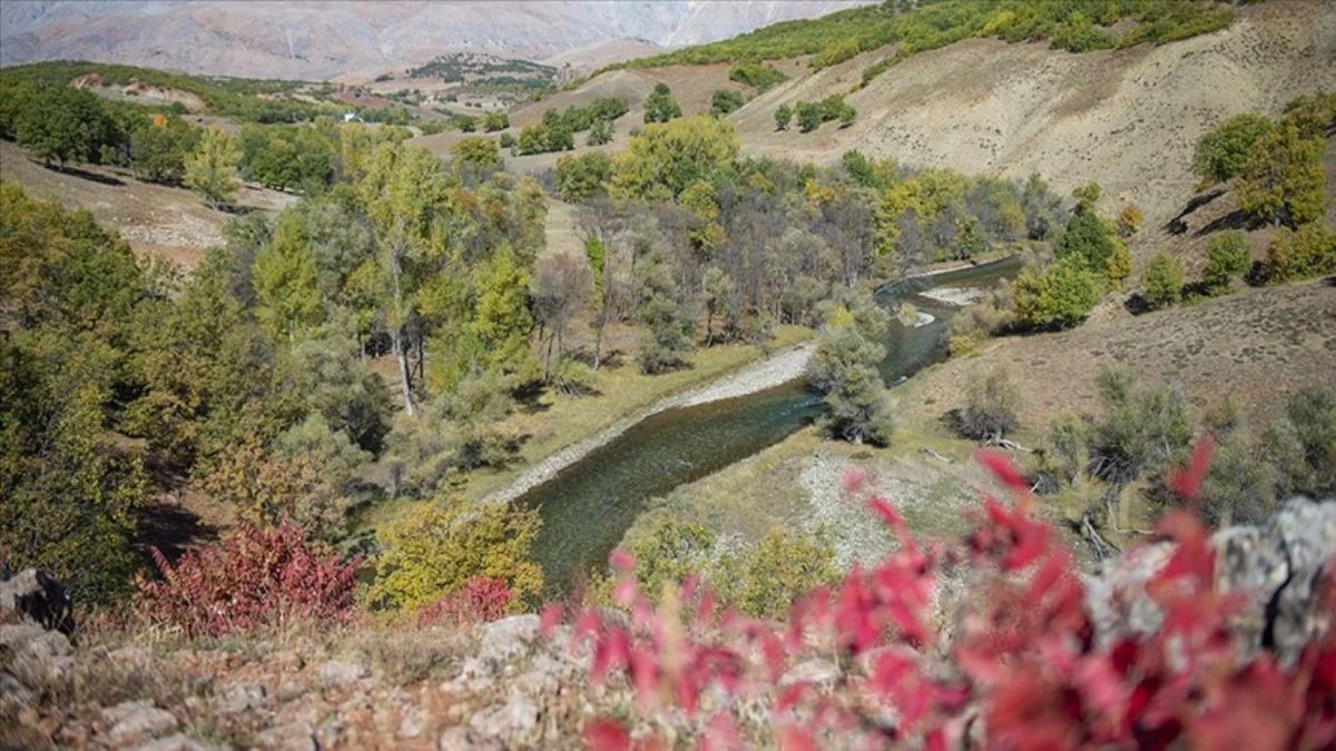 Sakinlik ve dinginlik arayanlar için Mercan Kanyonu