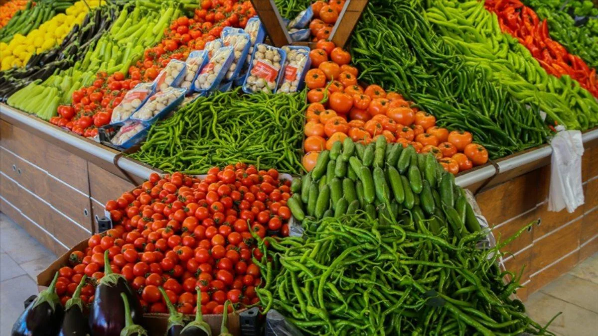 Sebze fiyatını yüzde 50 düşürecek model