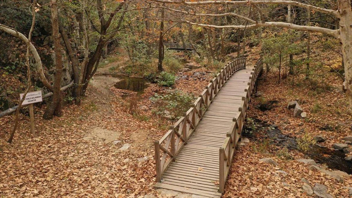 Ahşap köprüleri, köy eviyle Sadağı Kanyonu