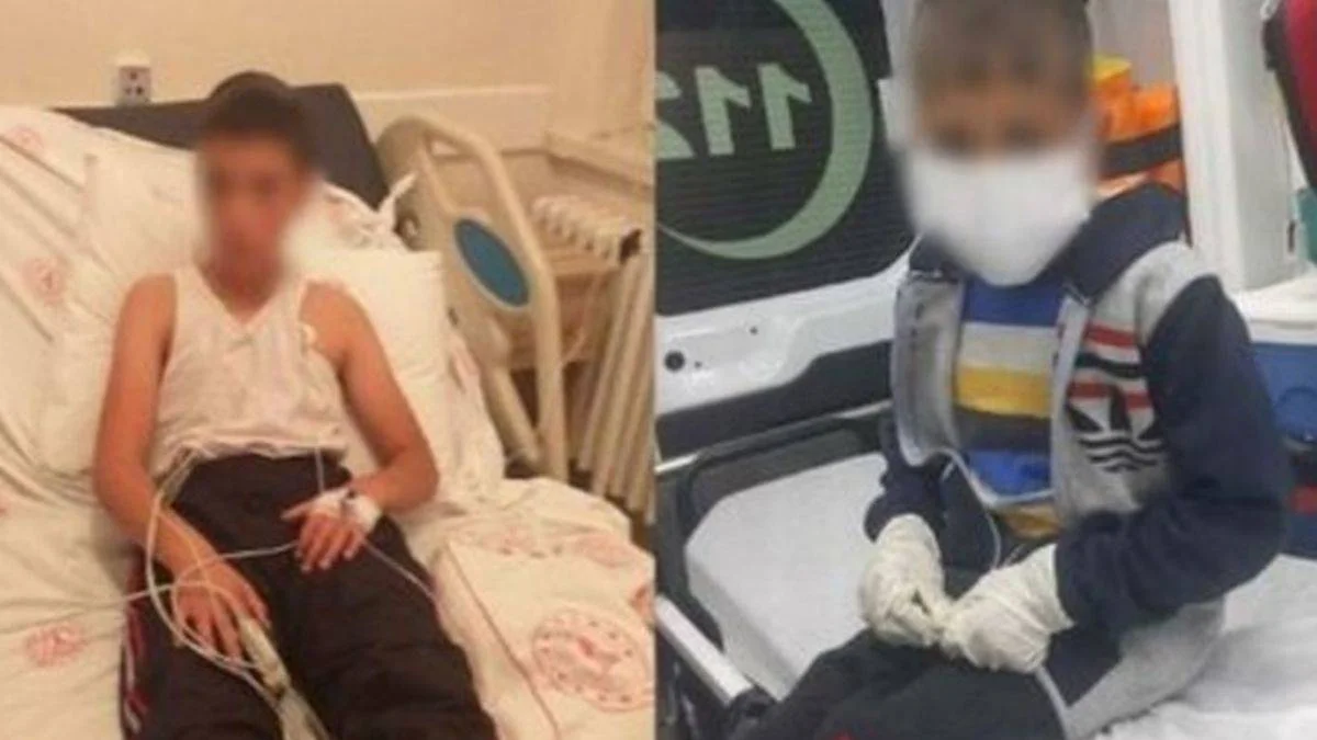 Bitlis'te köpeklerin ısırdığı çocuk kuduz oldu: Sudan korkuyor, hırçın davranıyor!