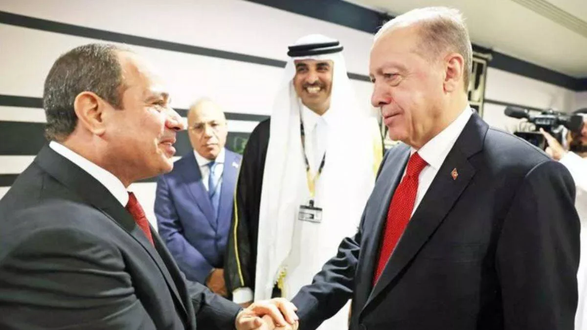 Hakan Albayrak, Sisi'yle tokalaşan Erdoğan'ı savundu