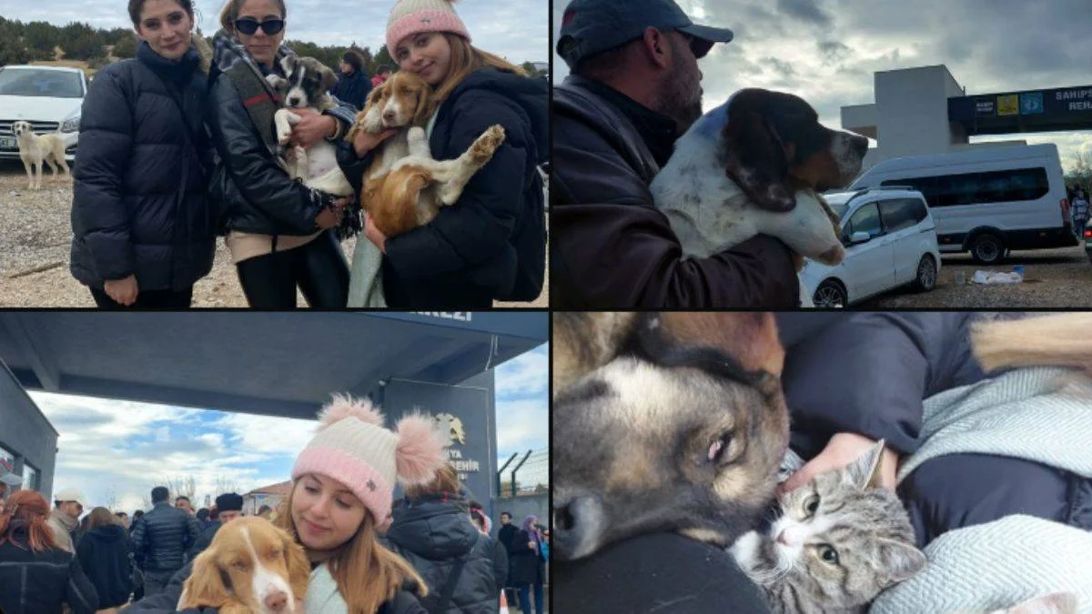 Konya'da hayvanseverlere 'cins köpek ayrımcılığı' tepkisi