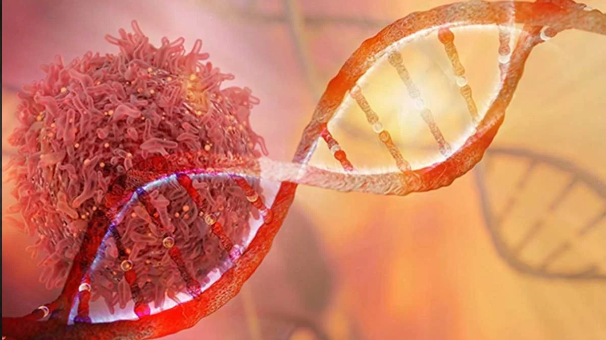 Lyme hastalığı nedir? Lyme (laym) hastalığı belirtisi neler, tedavisi var mı?