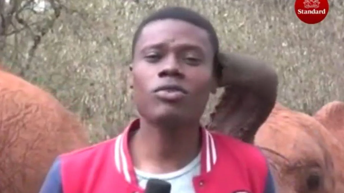 Muhabirin yavru fille yaşadığı anlar viral oldu