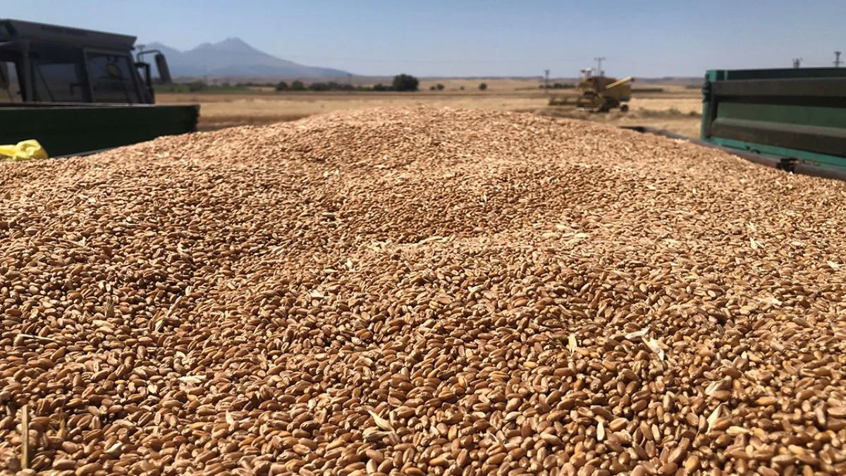 Ukrayna Kenya'ya 25 bin ton buğday gönderdi