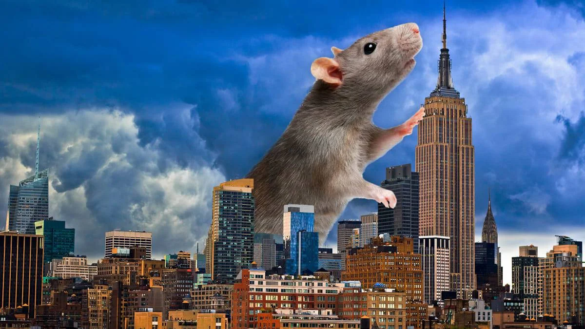 'En pahalı şehir' New York'ta fare istilası! İş ilanı verildi