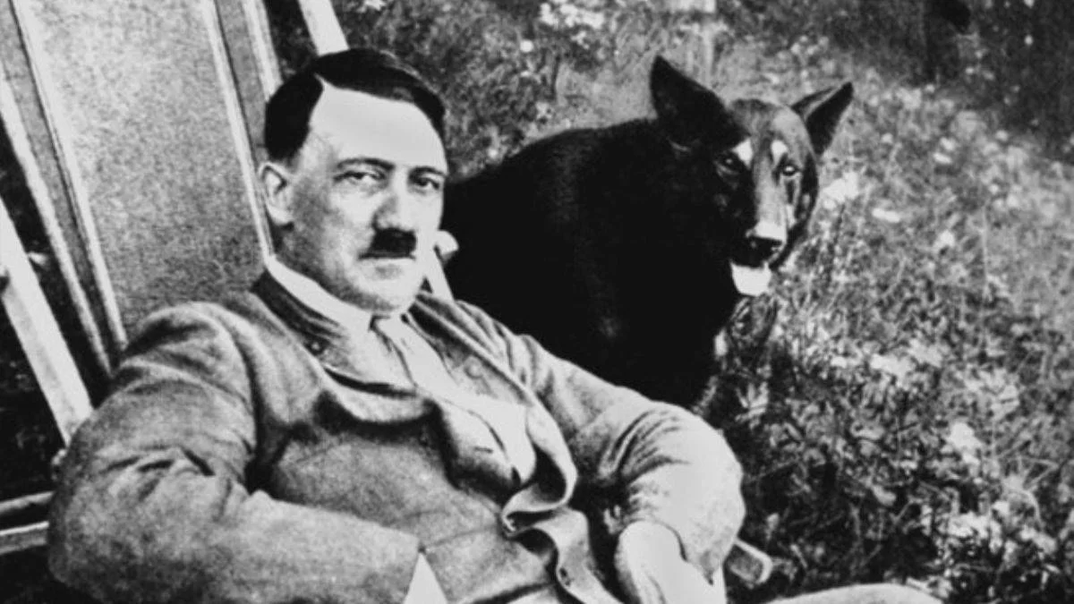 Hitler'e 'seks suikastı planı' da yapılmış