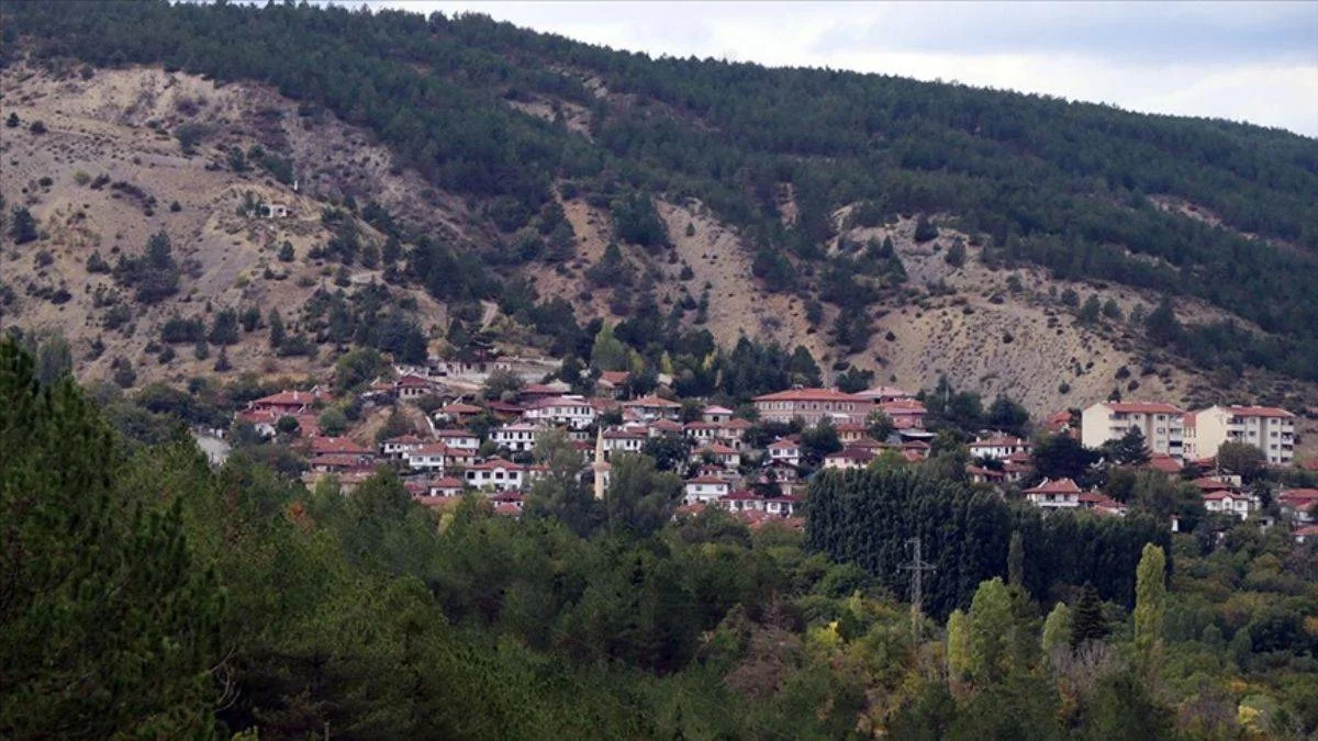 Türkiye'nin 476 kişilik ilçesi; huzurlu, sakin hayat