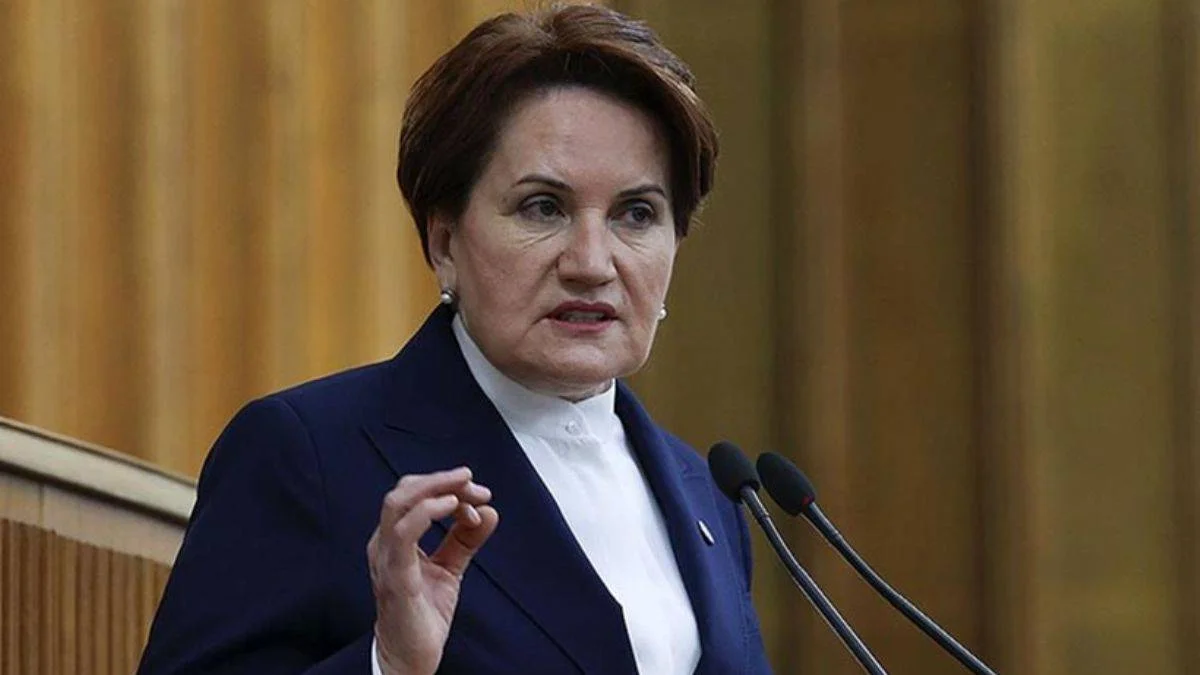 Akşener: Sayın Erdoğan adına çok utanıyorum