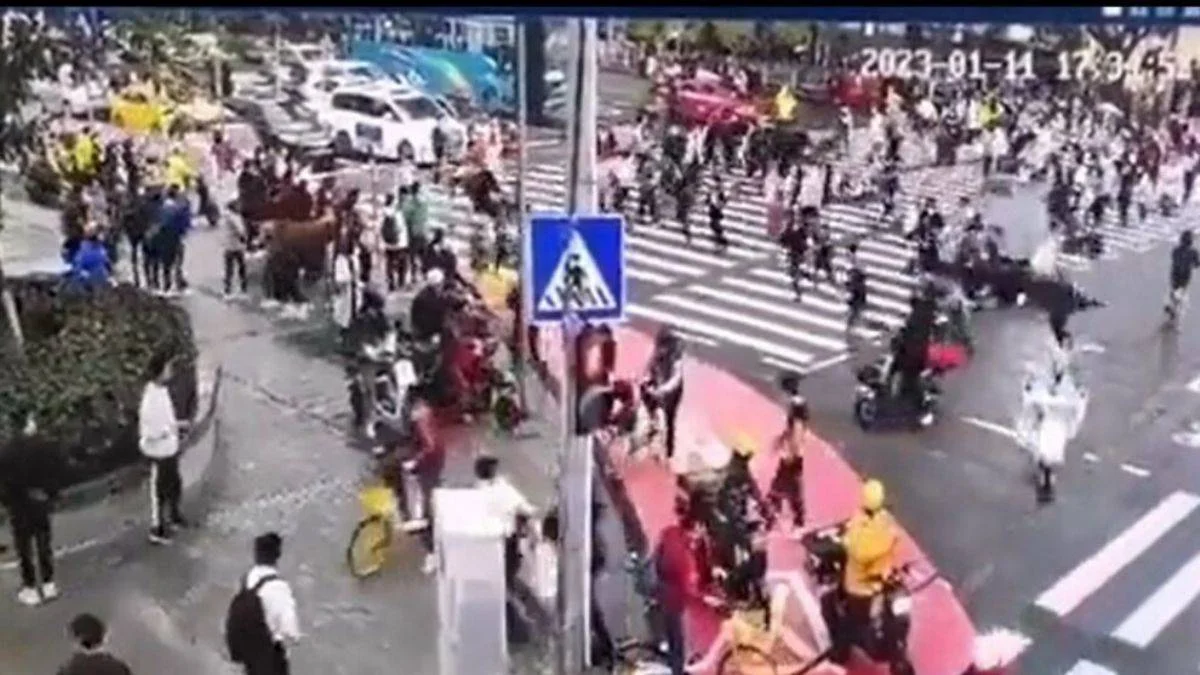 Aracıyla yayaların arasına daldı! 5 ölü, 13 yaralı