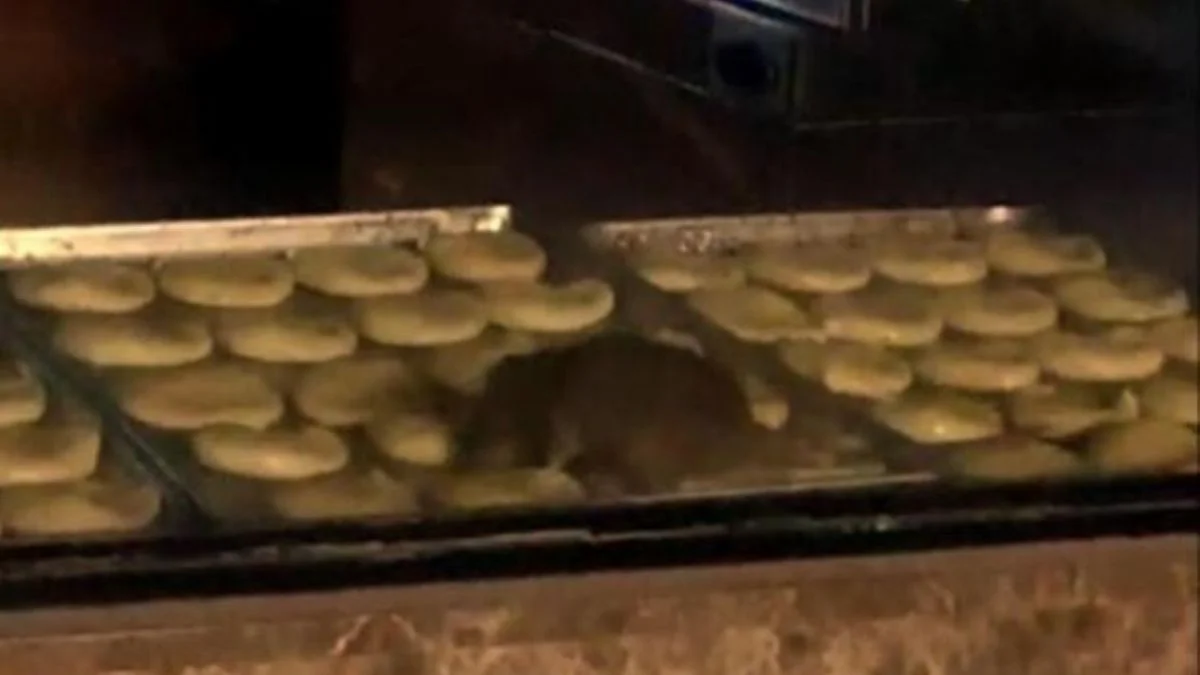 Hangi pastanede fare çıktı? (Poğaça üzerinde gezen fare olayı)