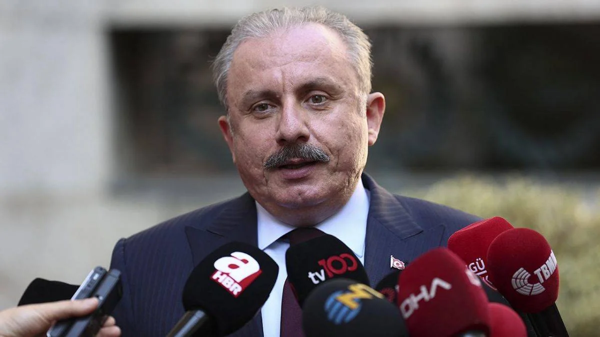 Şentop'tan Erdoğan'ın adaylığına ilişkin açıklama