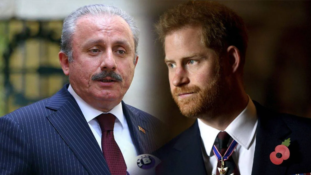TBMM Başkanı Şentop'tan Prens Harry'ye sert tepki: Yani sen kimsin?