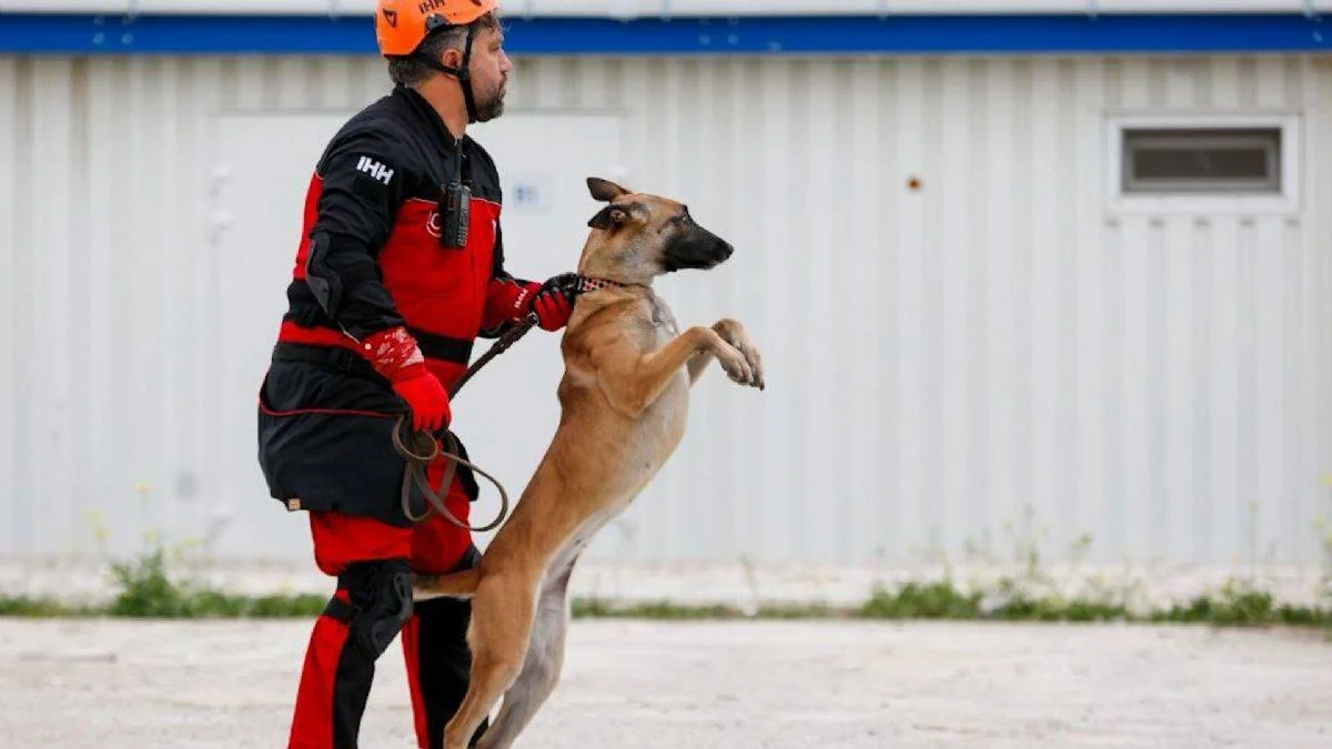 İHH'nın arama kurtarma köpekleri 50 kişinin kurtulmasına vesile oldu
