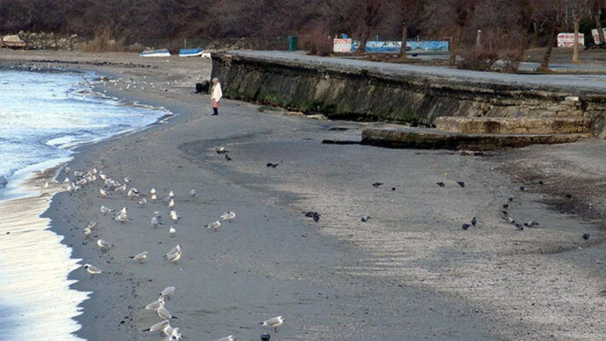 Marmara Denizi'nde su çekilmesine ilişkin açıklama