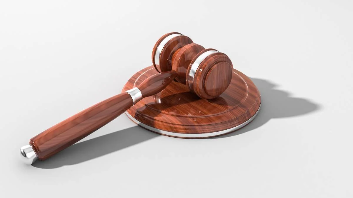 6284 sayılı kanun nedir? 6284 sayılı kanunun içeriğinde neler var?