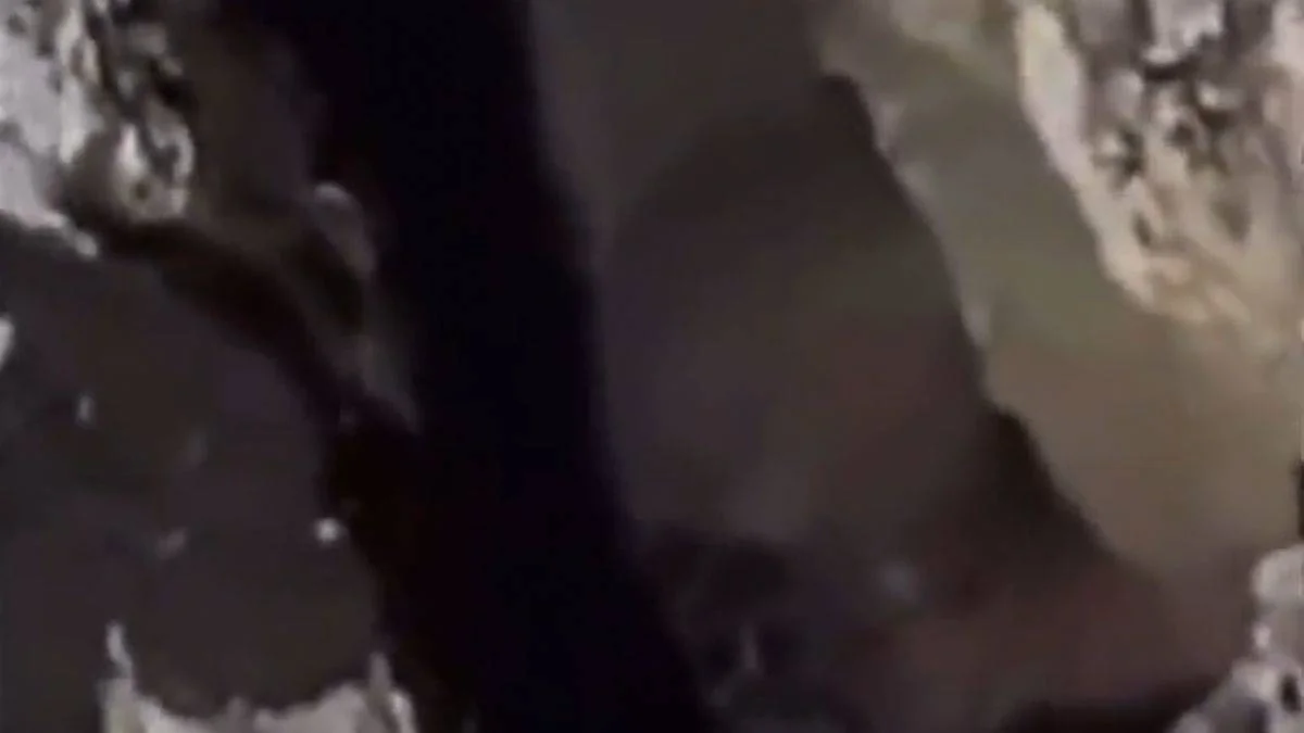'Defineciler uzaylı mı gördü' tartışması