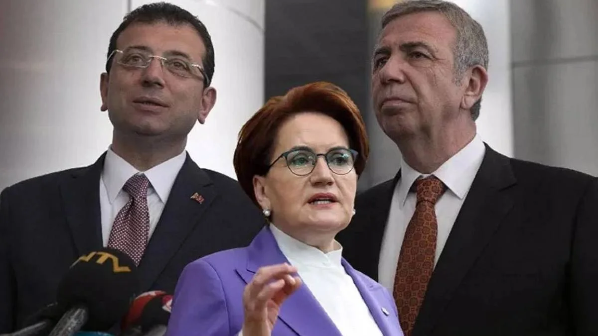 İcracı cumhurbaşkanı yardımcısı nedir görevleri nelerdir?