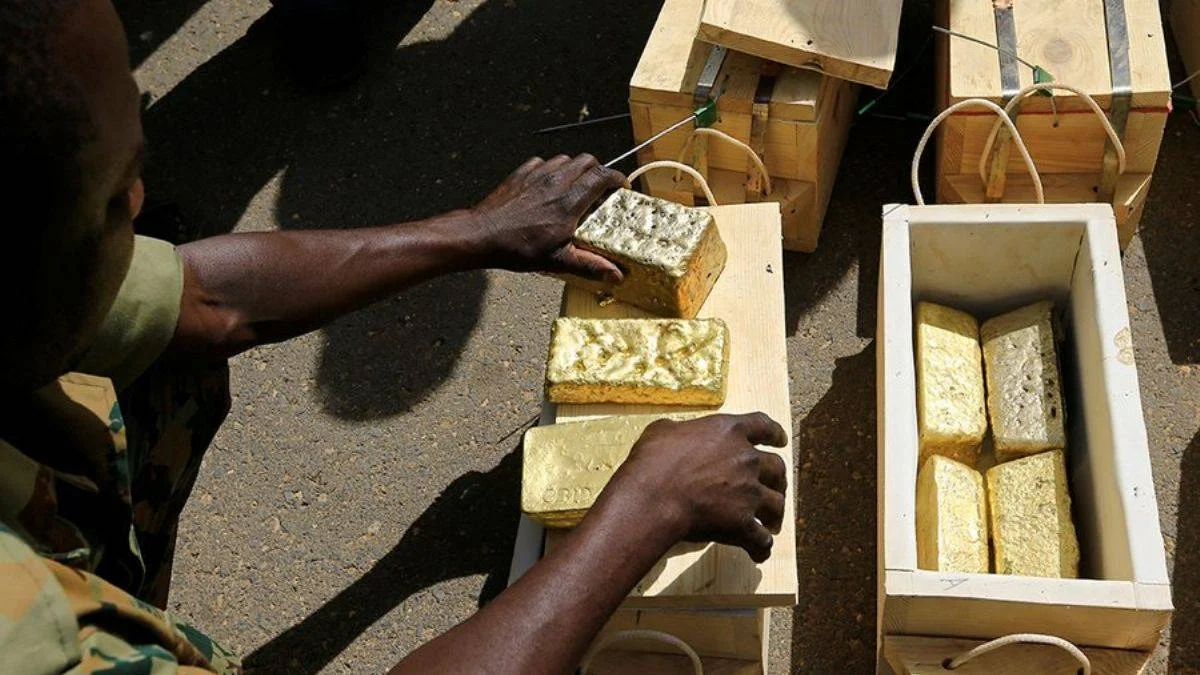 ANALİZ: Taşı toprağı altın Sudan