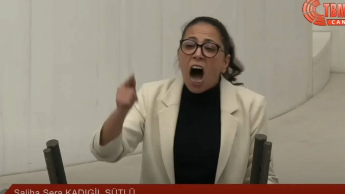 'Cazgır' Sera Kadıgil ve 'şovmen partisi' TİP