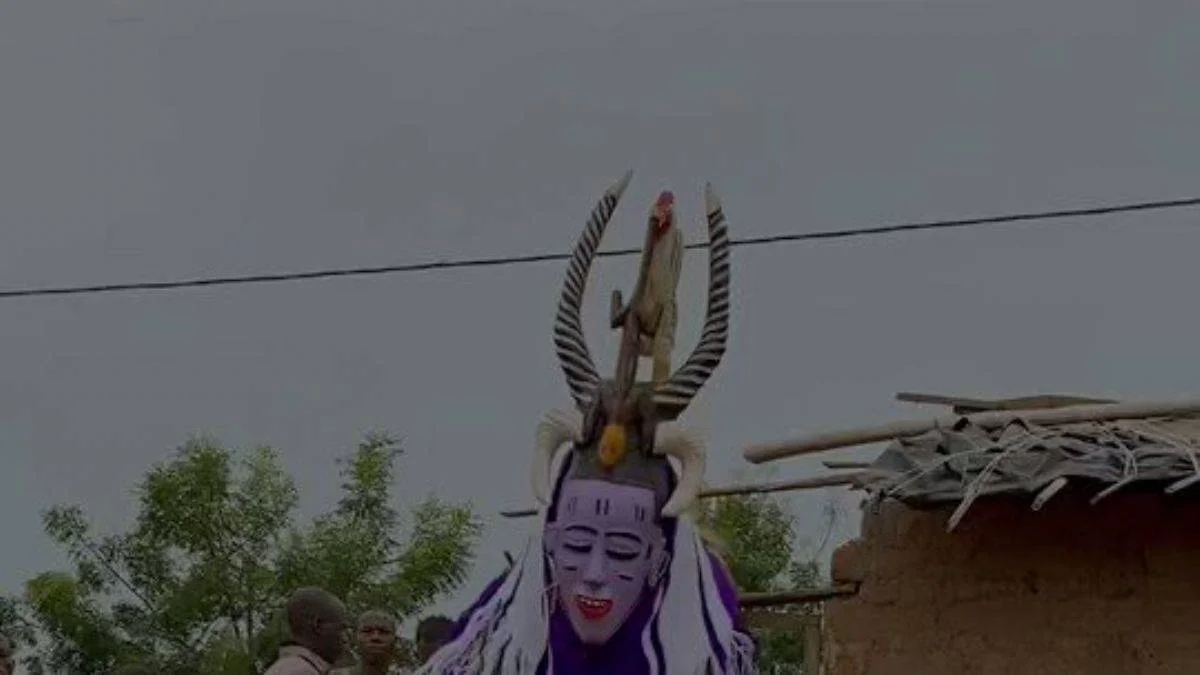 Fildişi Sahili'ndeki Guro kültürünün Zaouli dansı