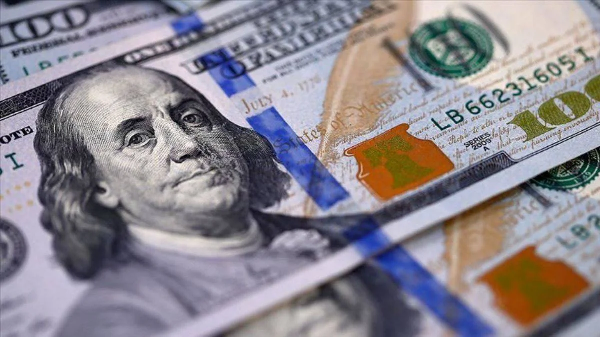 Hindistanlı bankacı Kotak: Dolar finansal teröristtir
