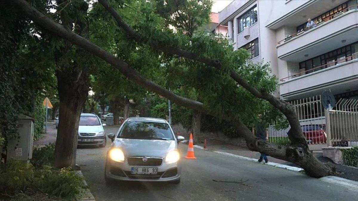 Meteorolojiden 4 bölge için fırtına uyarısı