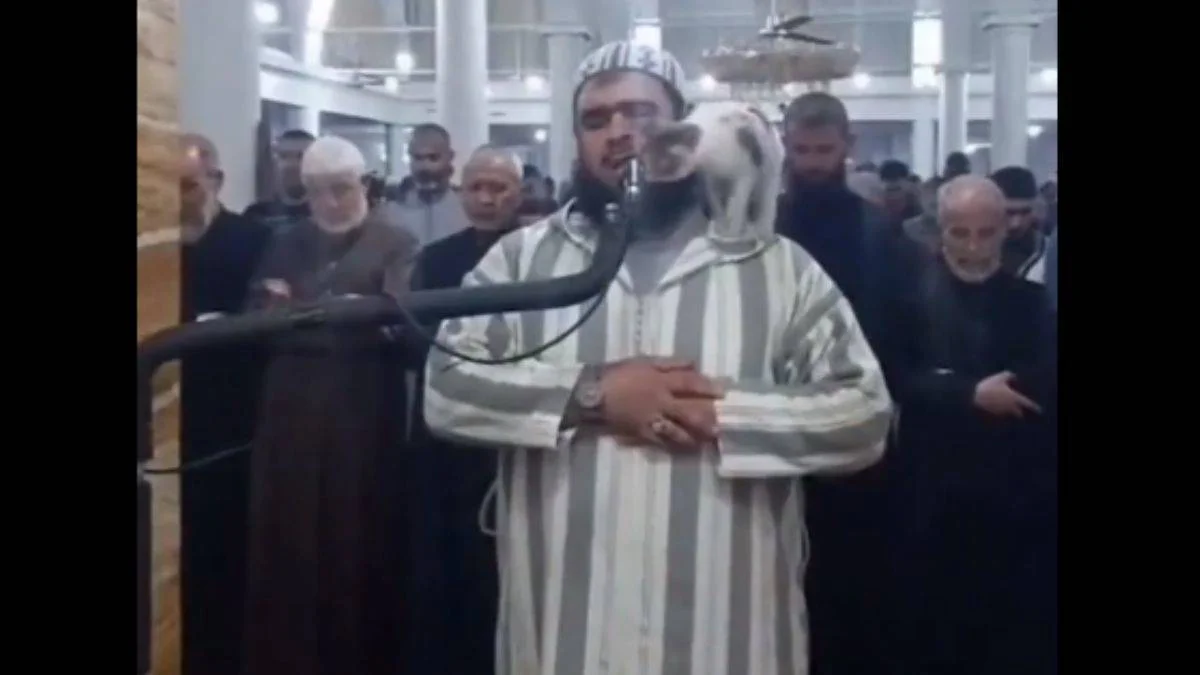Namaz sırasında imamın üzerine atlayan kedi