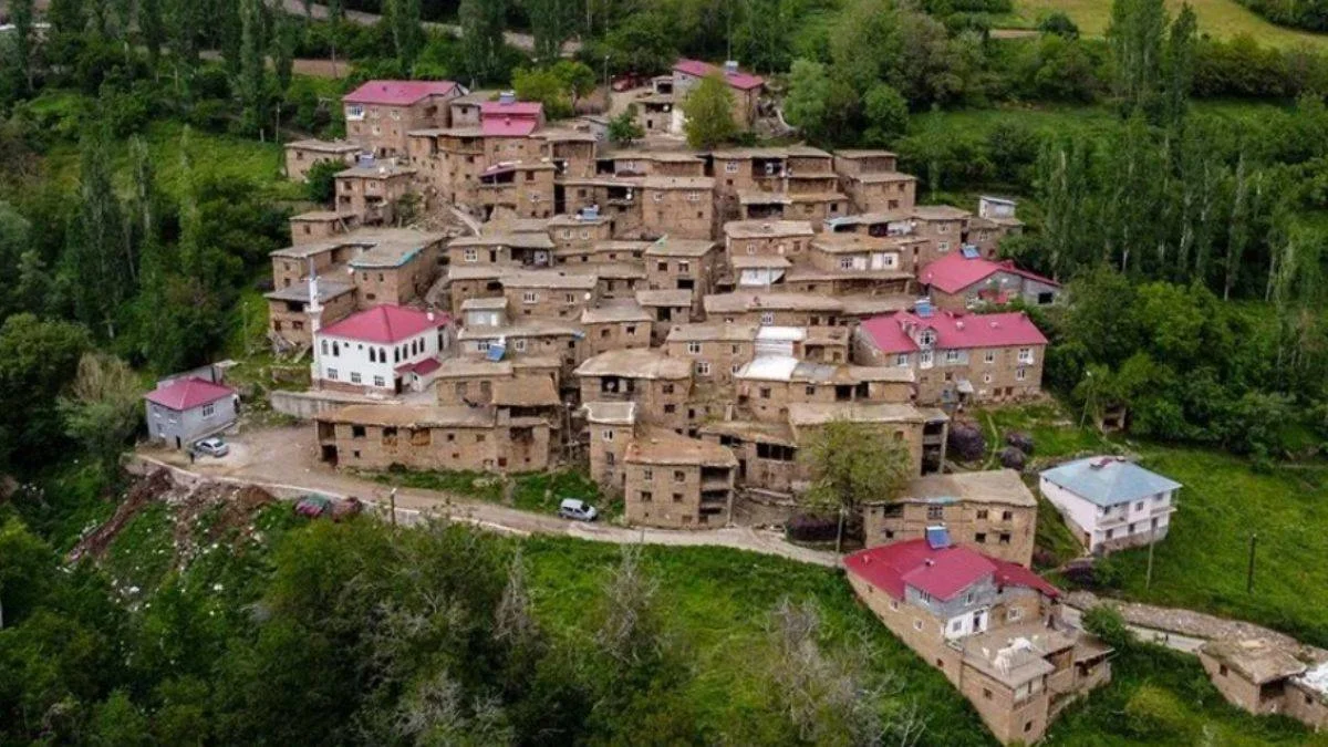 Bitlis'in büyük ilgi gören taş evleri
